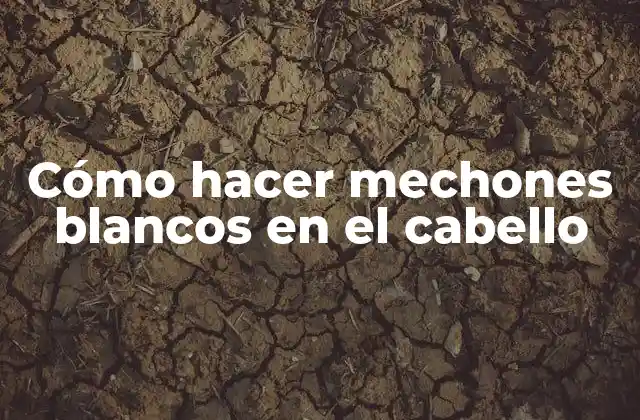 Cómo Hacer Mechones Blancos en el Cabello