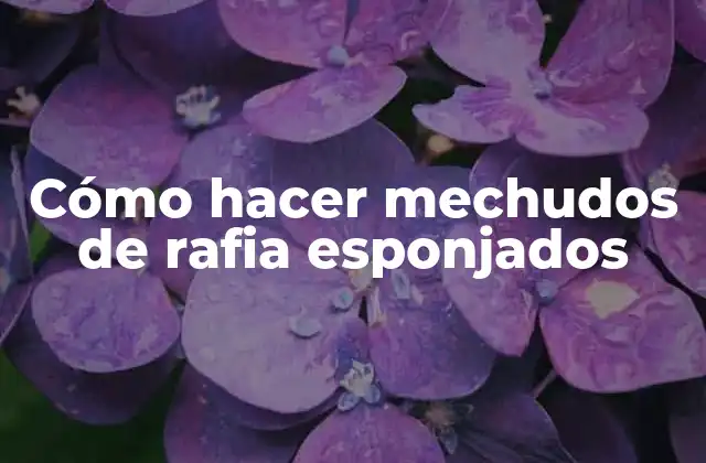 Cómo Hacer Mechudos de Rafia Esponjados