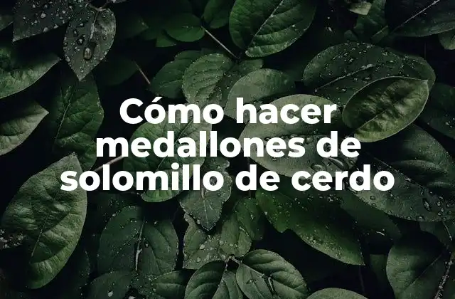 Cómo Hacer Medallones de Solomillo de Cerdo 2 ¿Qué son los medallones de solomillo de cerdo y para qué sirven?