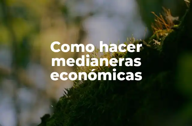 Como Hacer Medianeras Económicas
