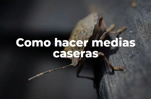 Como Hacer Medias Caseras