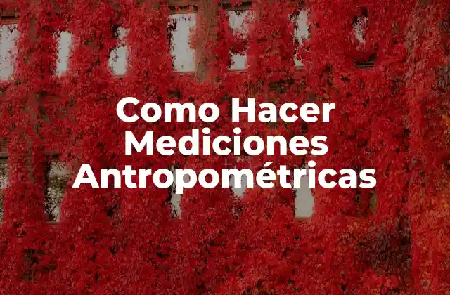Como Hacer Mediciones Antropométricas 2 ¿Qué son las Mediciones Antropométricas?