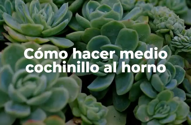 Cómo Hacer Medio Cochinillo Al Horno