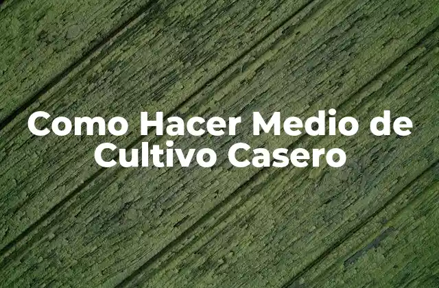 Como Hacer Medio de Cultivo Casero