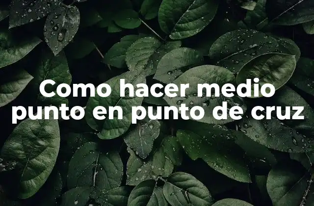 Como Hacer Medio Punto en Punto de Cruz