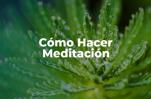 Cómo Hacer Meditación 2 ¿Qué es la Meditación?
