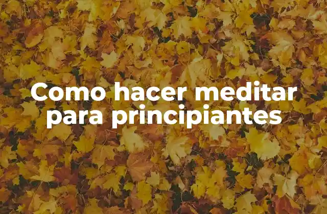 Cómo hacer meditar para principiantes