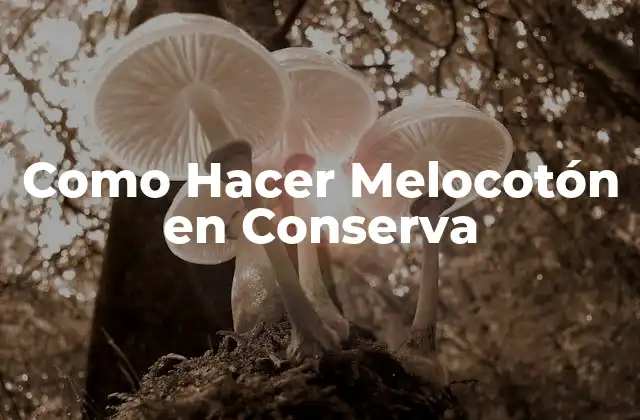 Como Hacer Melocotón en Conserva