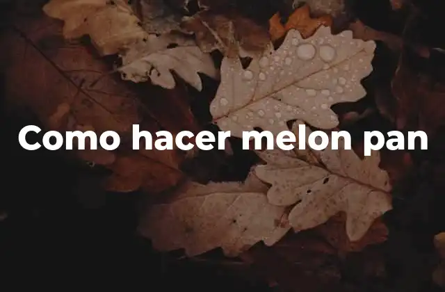 ¿Qué es el melon pan y para qué sirve?