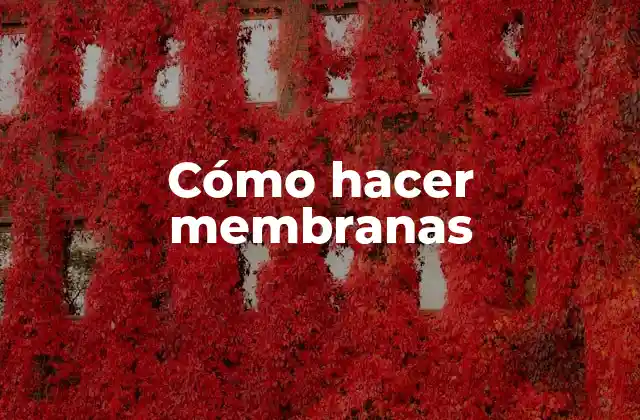 Cómo Hacer Membranas