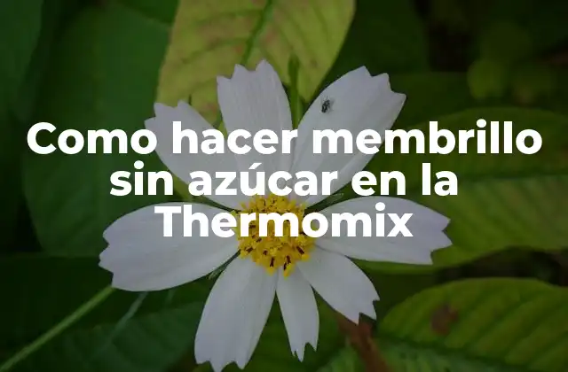 Como Hacer Membrillo sin Azúcar en la Thermomix
