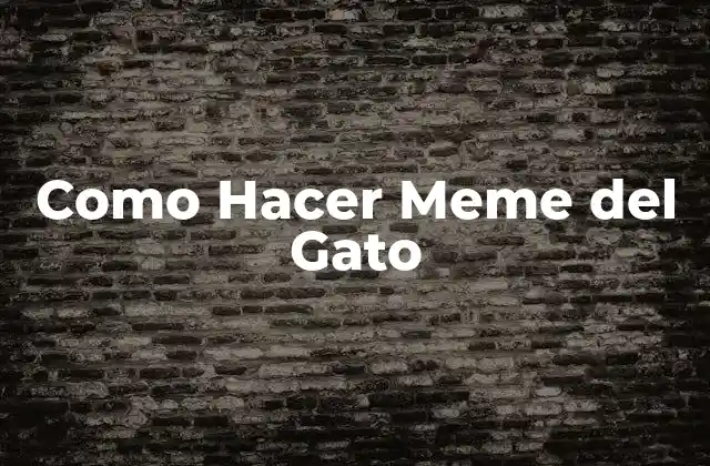 Como Hacer Meme Del Gato