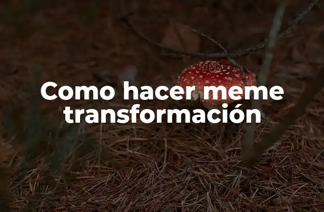 Como Hacer Meme Transformación