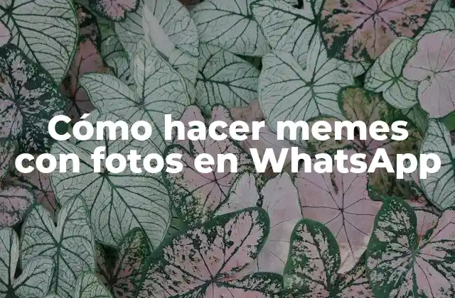 Cómo Hacer Memes con Fotos en Whatsapp