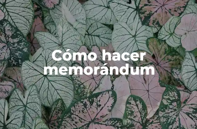 Cómo Hacer Memorándum