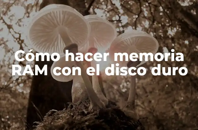 Cómo Hacer Memoria Ram con el Disco Duro