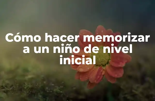 Cómo Hacer Memorizar a un Niño de Nivel Inicial