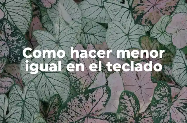 Como Hacer Menor Igual en el Teclado