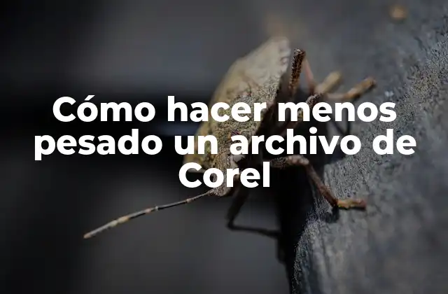 Cómo Hacer Menos Pesado un Archivo de Corel
