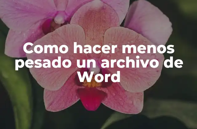 Como Hacer Menos Pesado un Archivo de Word