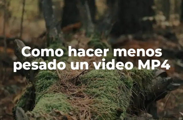 Como Hacer Menos Pesado un Video Mp4