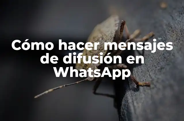 Cómo Hacer Mensajes de Difusión en Whatsapp