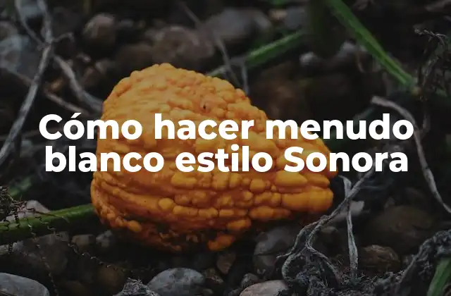 Cómo Hacer Menudo Blanco Estilo Sonora