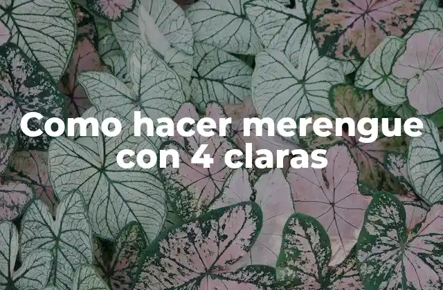 Como Hacer Merengue con 4 Claras