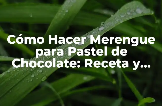 Cómo Hacer Merengue para Pastel de Chocolate: Receta y Consejos