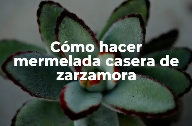 Cómo Hacer Mermelada Casera de Zarzamora