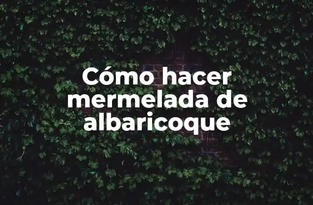 Cómo Hacer Mermelada de Albaricoque