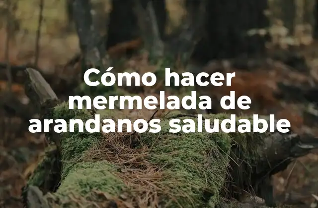 Cómo Hacer Mermelada de Arandanos Saludable