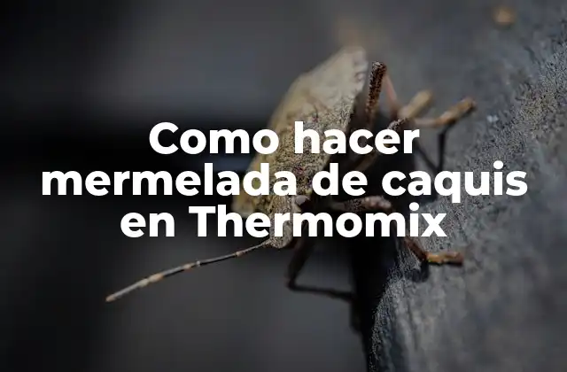 Como Hacer Mermelada de Caquis en Thermomix