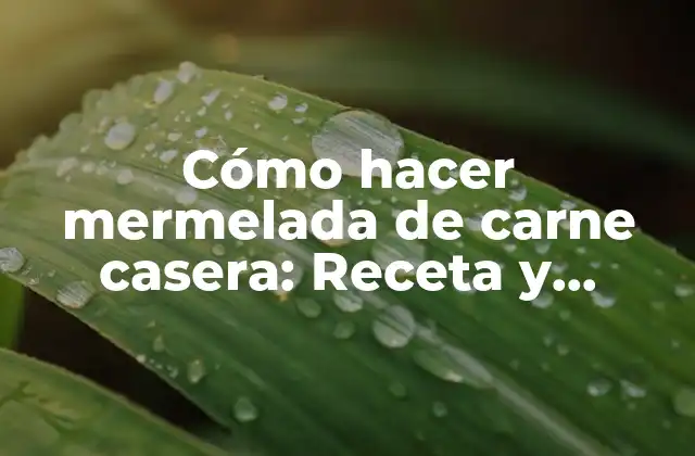 Orígenes y historia de la mermelada de carne