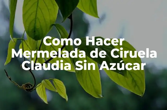 ¿Qué es la Mermelada de Ciruela Claudia Sin Azúcar?