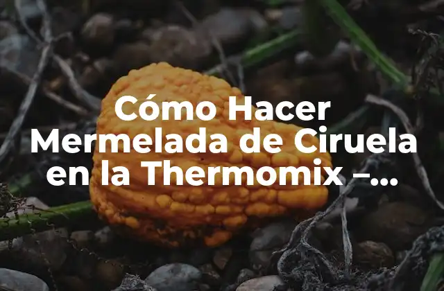 Cómo Hacer Mermelada de Ciruela en la Thermomix – Receta Fácil y Deliciosa
