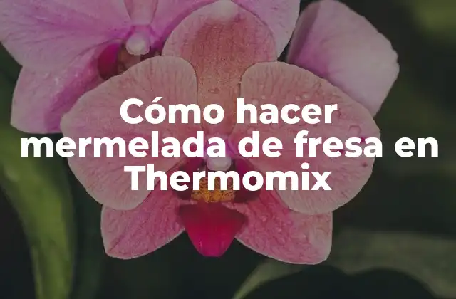 Cómo Hacer Mermelada de Fresa en Thermomix