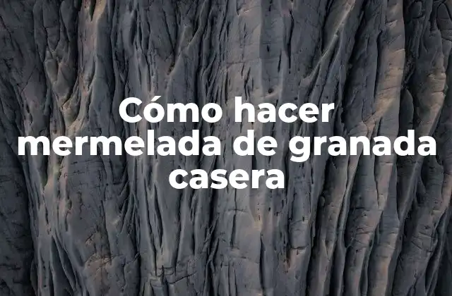 ¿Qué es la mermelada de granada casera?