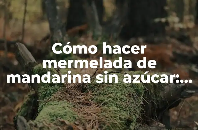 Cómo Hacer Mermelada de Mandarina sin Azúcar: una Guía Práctica