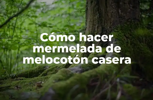 Cómo Hacer Mermelada de Melocotón Casera