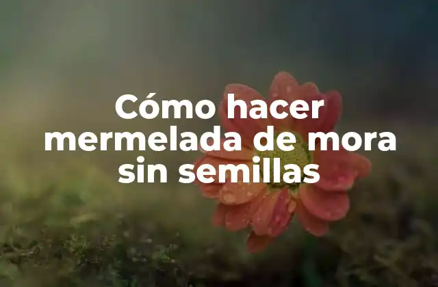Cómo Hacer Mermelada de Mora sin Semillas