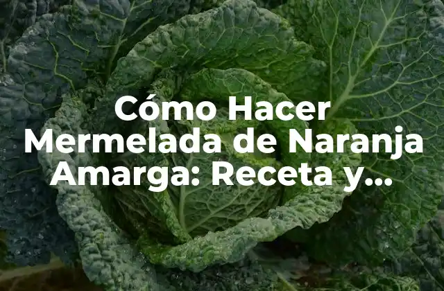 Cómo Hacer Mermelada de Naranja Amarga: Receta y Técnicas para una Delicia Casera