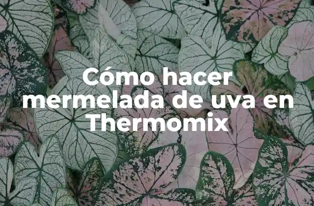 Cómo Hacer Mermelada de Uva en Thermomix