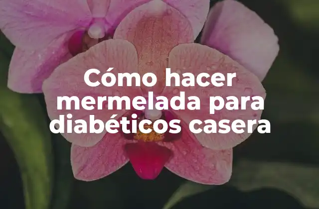 Cómo Hacer Mermelada para Diabéticos Casera