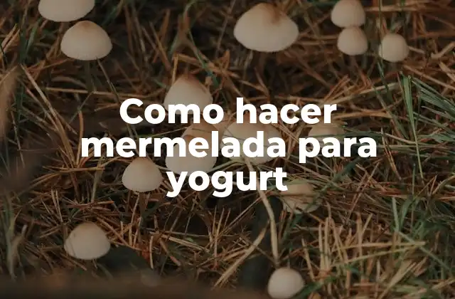 Como Hacer Mermelada para Yogurt