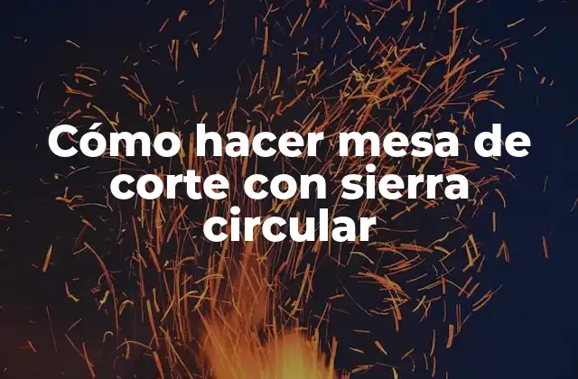 Cómo Hacer Mesa de Corte con Sierra Circular 2 Cómo hacer mesa de corte con sierra circular