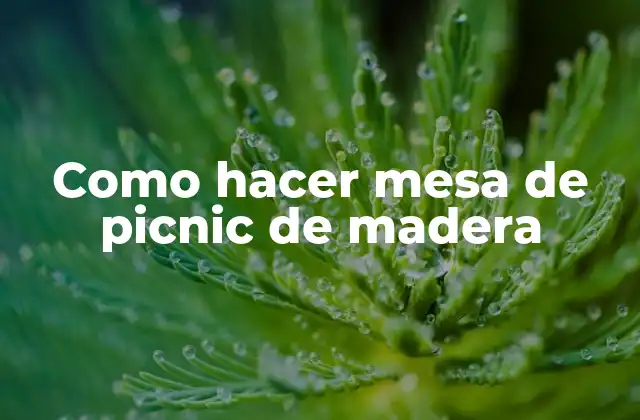 Como Hacer Mesa de Picnic de Madera
