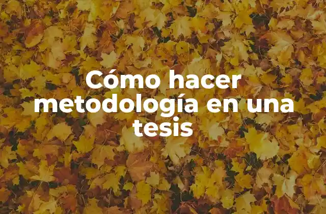 Cómo Hacer Metodología en una Tesis