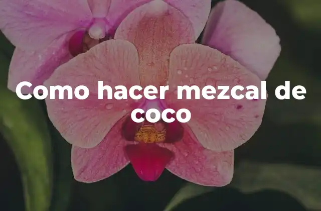 Como Hacer Mezcal de Coco