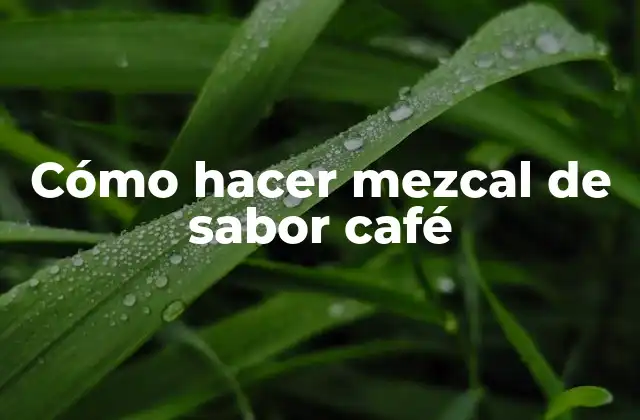 Cómo Hacer Mezcal de Sabor Café